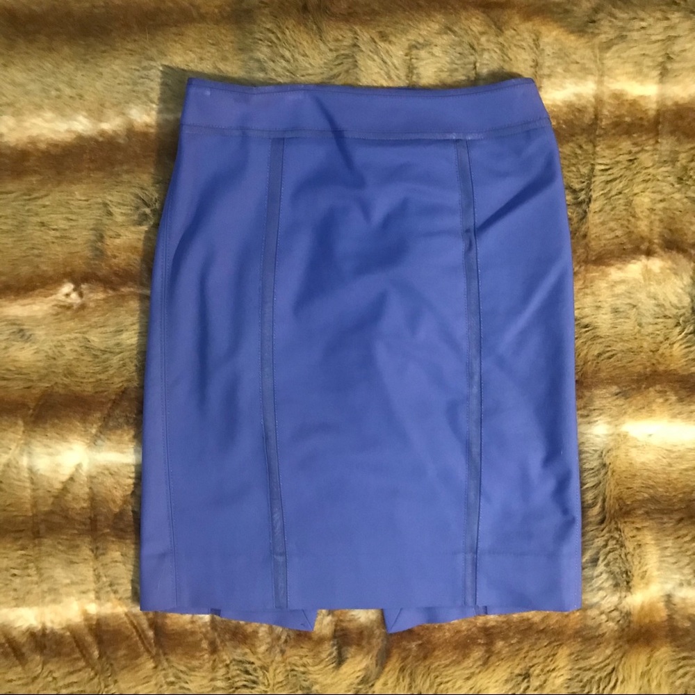 Women’s Blue Skirt